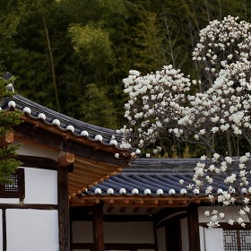 A7R4+la-ea5/135.8za]  뱸 ޼ Ż  