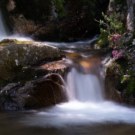 A7r4+100400gm] â 