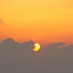 [NEX-5]  