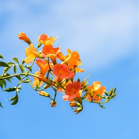 ɼȭ  ¾ƾ ϴµ.....