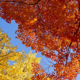 ������...