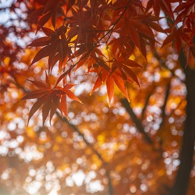 �����̸� ī�޶� �����մϴ�..^^