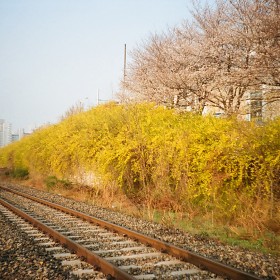 [Lomo LC-A+] ׳  
