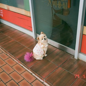 [Pentax MZ-3] ׳... ...