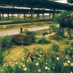 [Pentax MZ-3 + F28-80 + Ⳮ 10  ̵ʸ] ؾ 