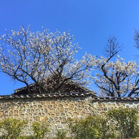 [IPHONE 6]  ʸ ȭ