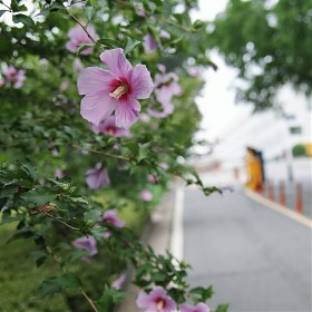 [SDQ]28-70mm F2.8 EX DG ׽Ʈ