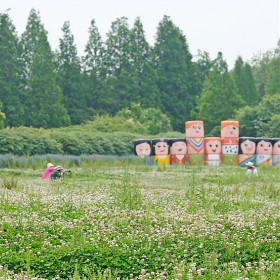 [50s2] 䳢Ǯ