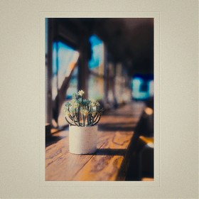 [A9M3, 50.2GM] ൵ ī #1... (BGM)