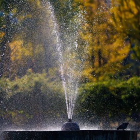 [A9M3/135GM, A7R5/35.2ƮϽ]  ó ... (BGM)