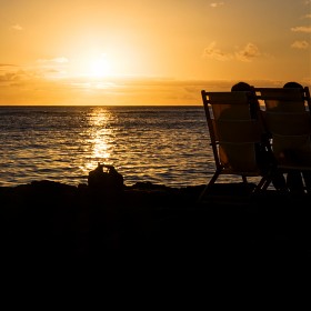 X2d) ������ 2025���� ������....