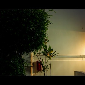 X2D) ���� �ѹ���...