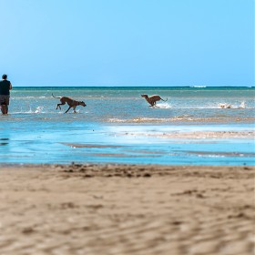 X2D) ���� ��.��