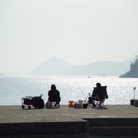 �޽İ� ����