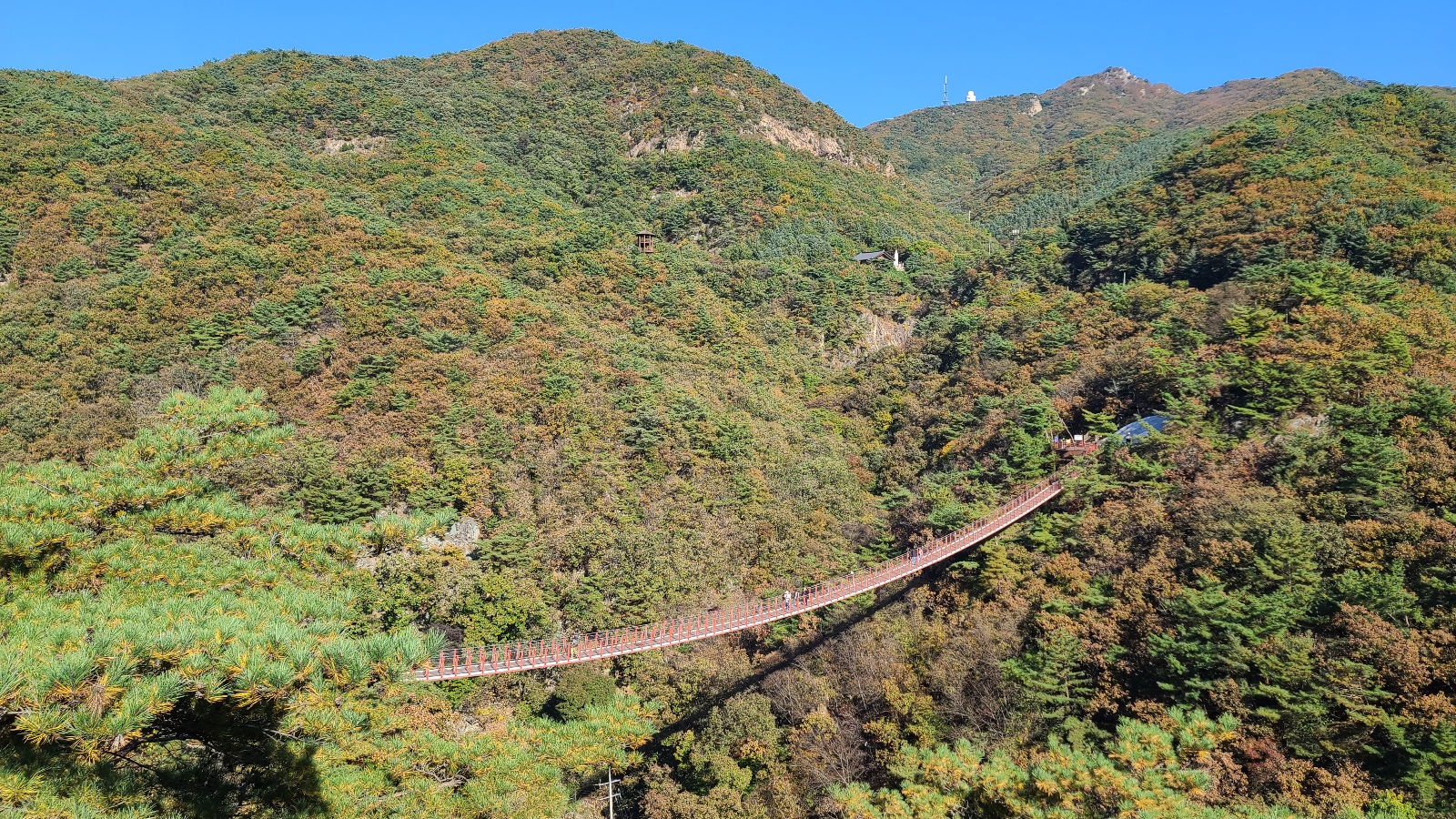 현재 파주 감악산 출렁다리 - 팝코넷 | 자유게시판 현재 파주 감악산 출렁다리