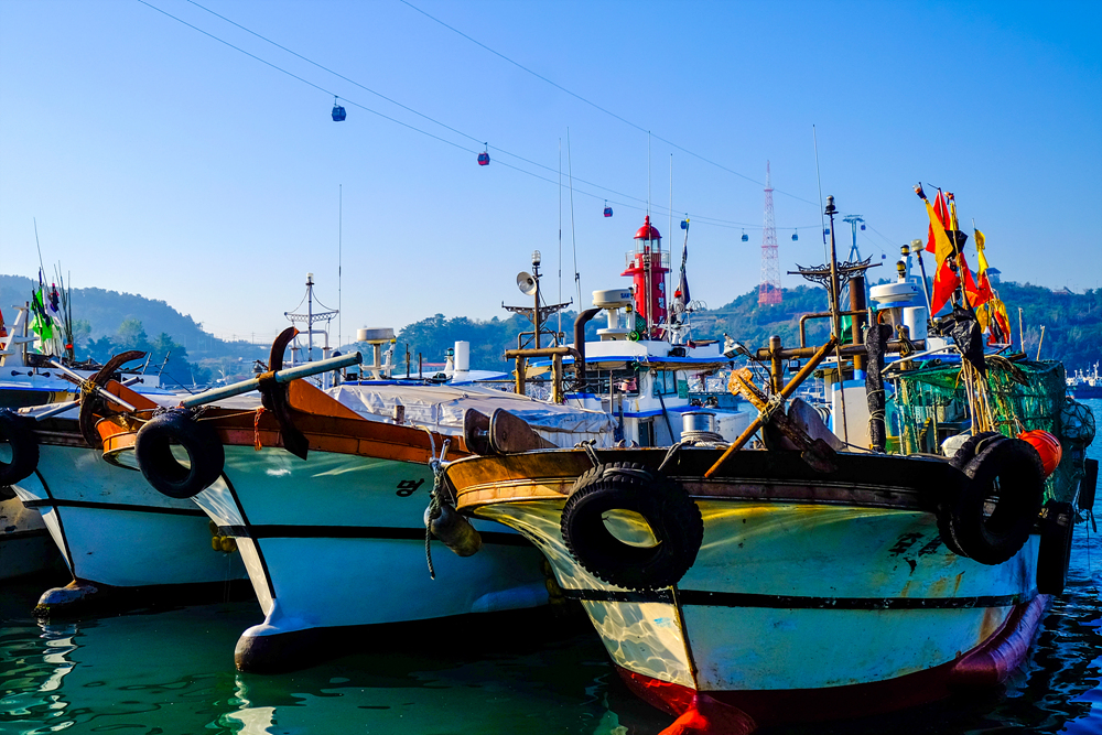 DSCF1538.jpg