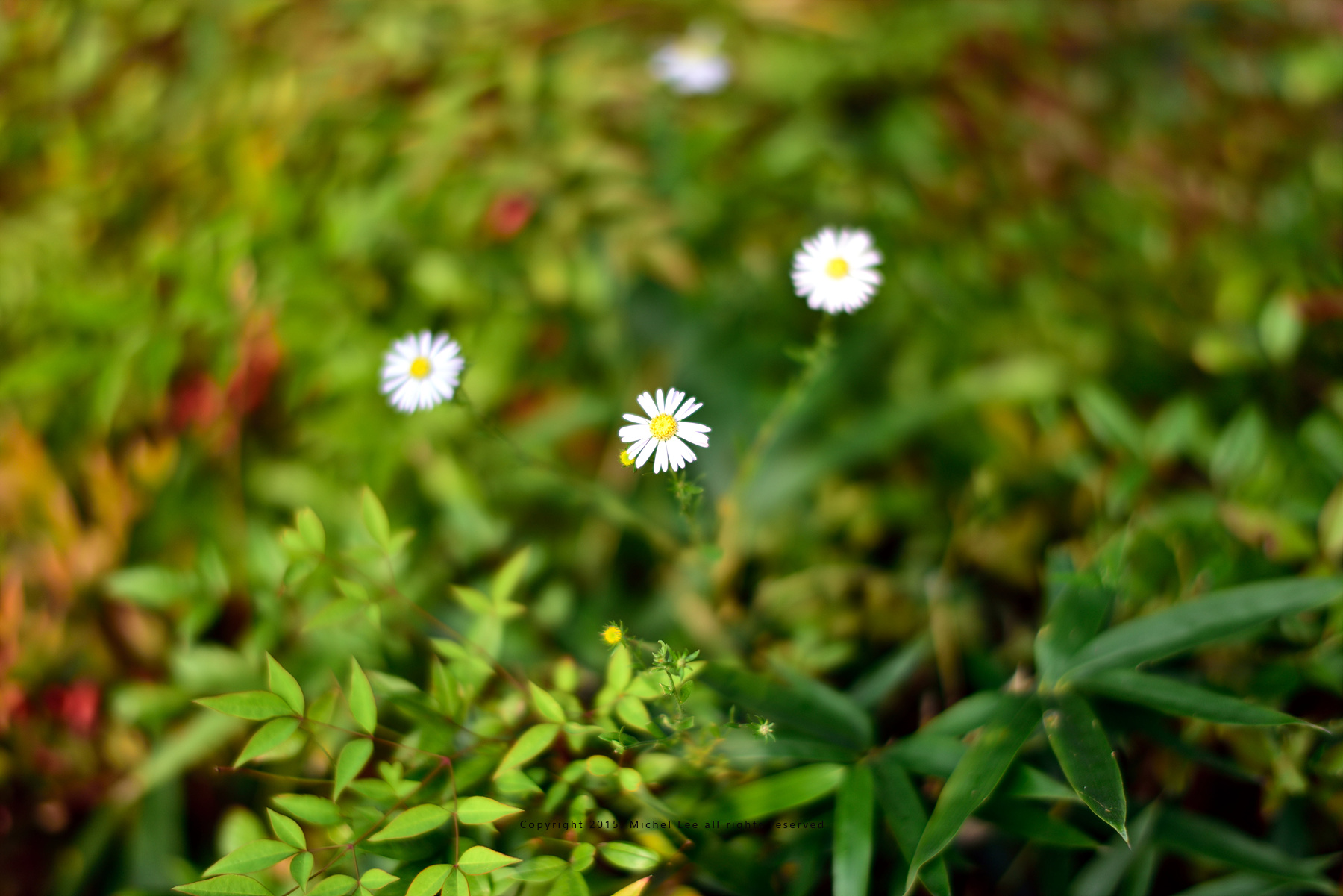 810_3281.jpg
