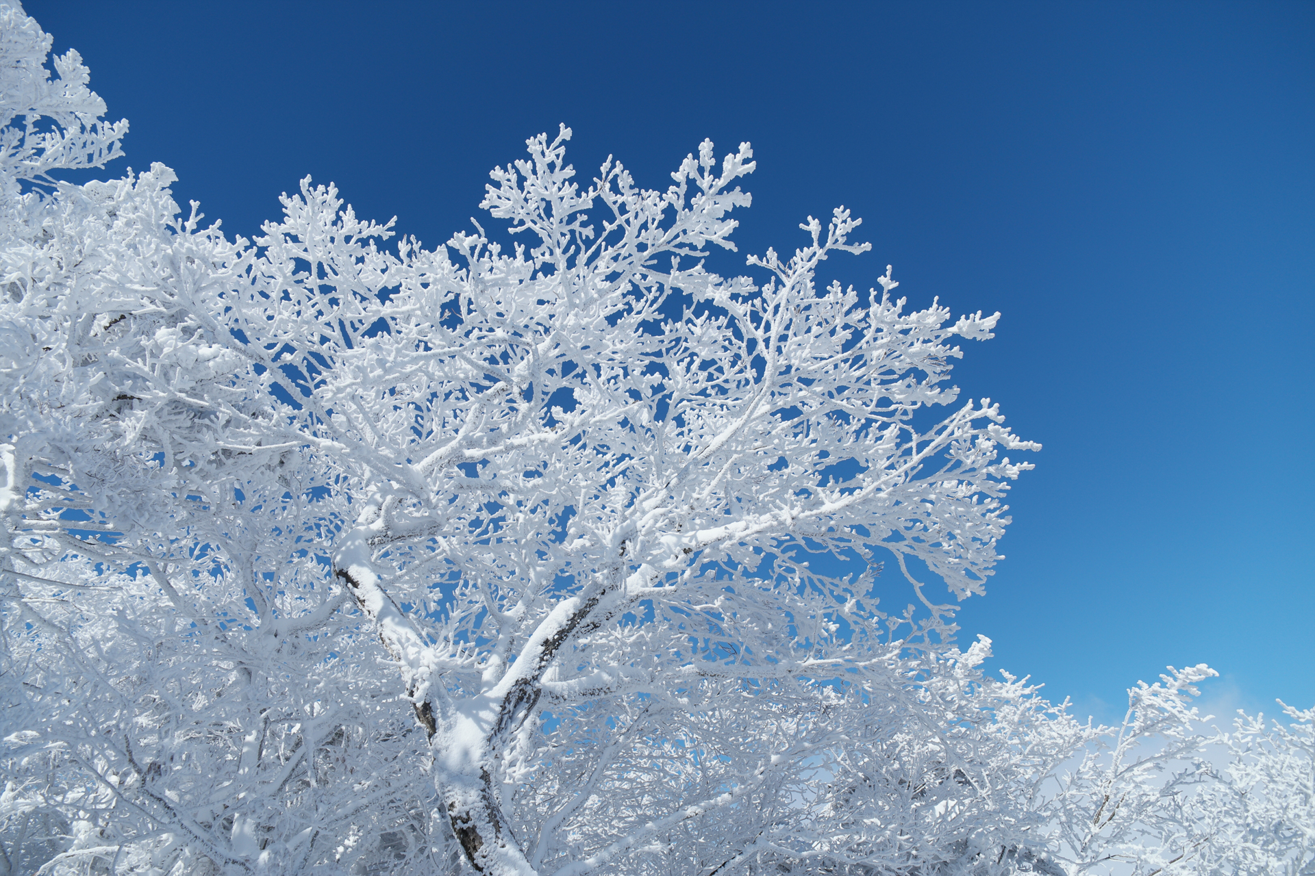 [nx1] 한라산 설경 - 삼성 Talk