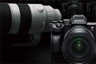 �Ҵϰ� ���� �� ��ǥ�� ����ǰ