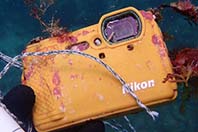 1년간 바다에 잠들어 있던 방수 카메라 COOLPIX W300,..