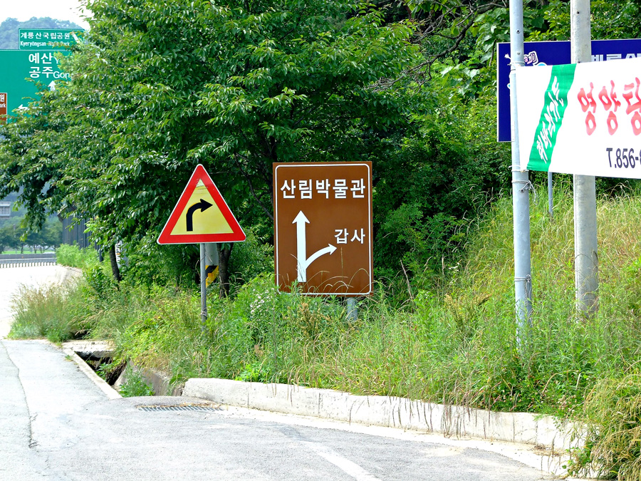 금강자연휴양림 다녀왔어요... - 팝코넷 | 포토 갤러리 금강자연휴양림 다녀왔어요...