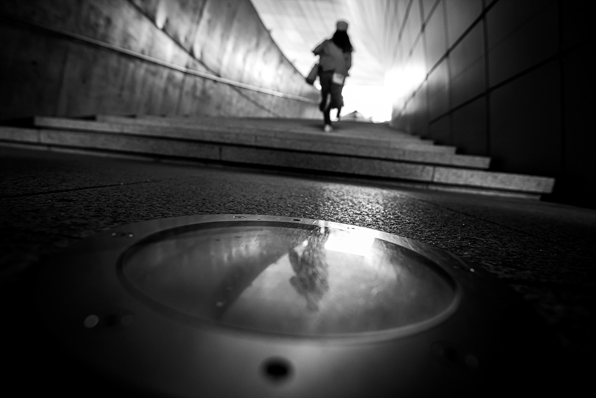 디디피에서 - 팝코넷 | 포토 갤러리 디디피에서