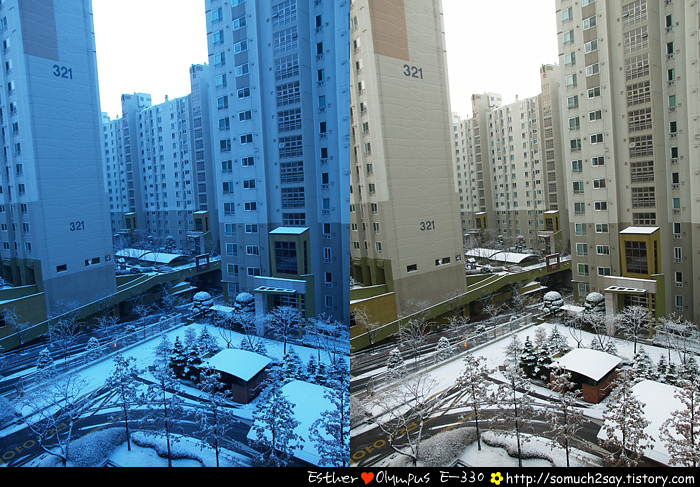 2007.12.07 눈온 날 아침 - 팝코넷 | 포토 갤러리 2007.12.07 눈온 날 아침
