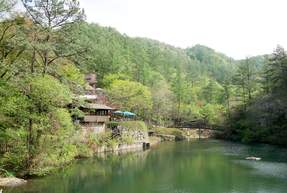 GX85 대전 만인산 봄~~~ - 팝코넷 | 베스트 게시판 GX85 대전 만인산 봄~~~