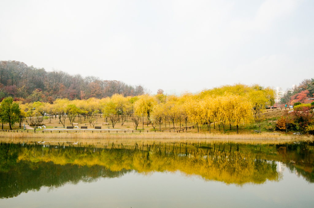 [타] 늦가을의 북서울꿈의 숲 - 삼성 Talk [타] 늦가을의 북서울꿈의 숲