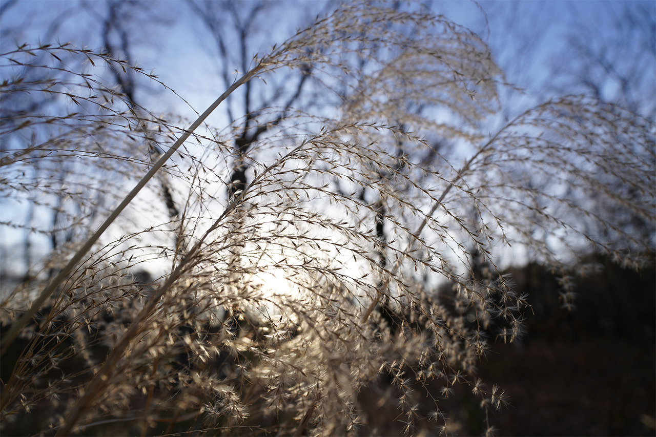 zSpecFE PZ 16-35mm F4 G0323_800_08.jpg