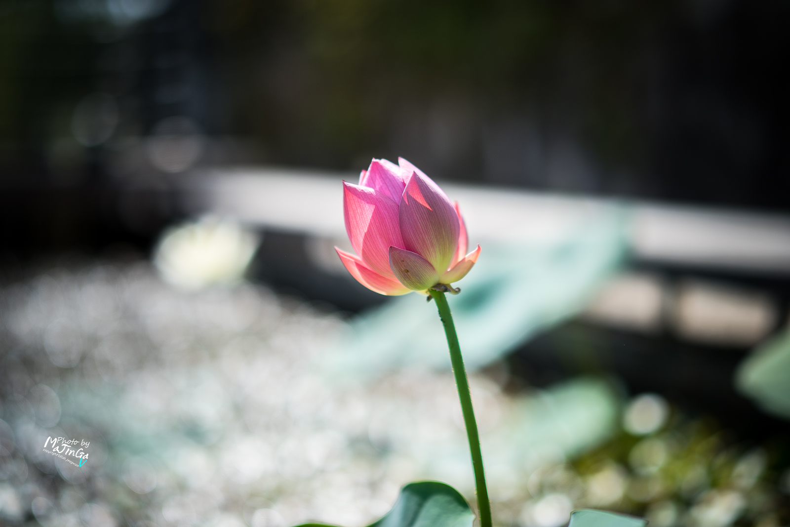 DSC01963 복사.jpg