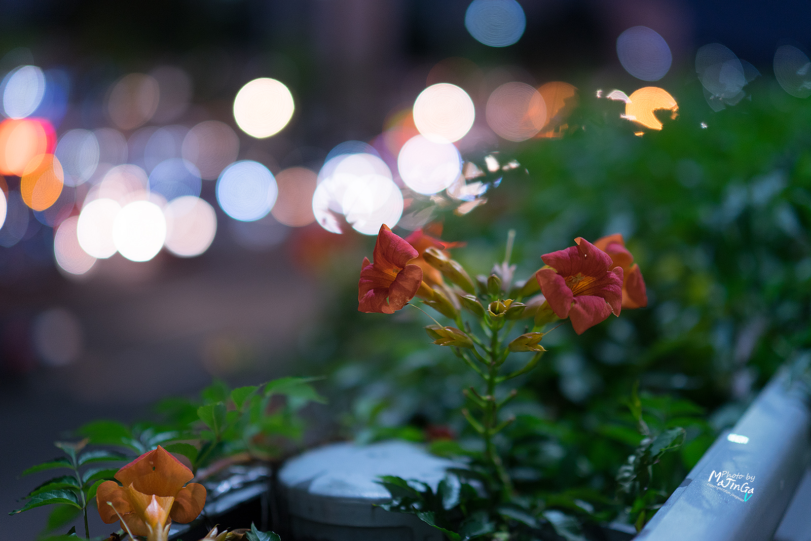 DSC00699 복사.jpg