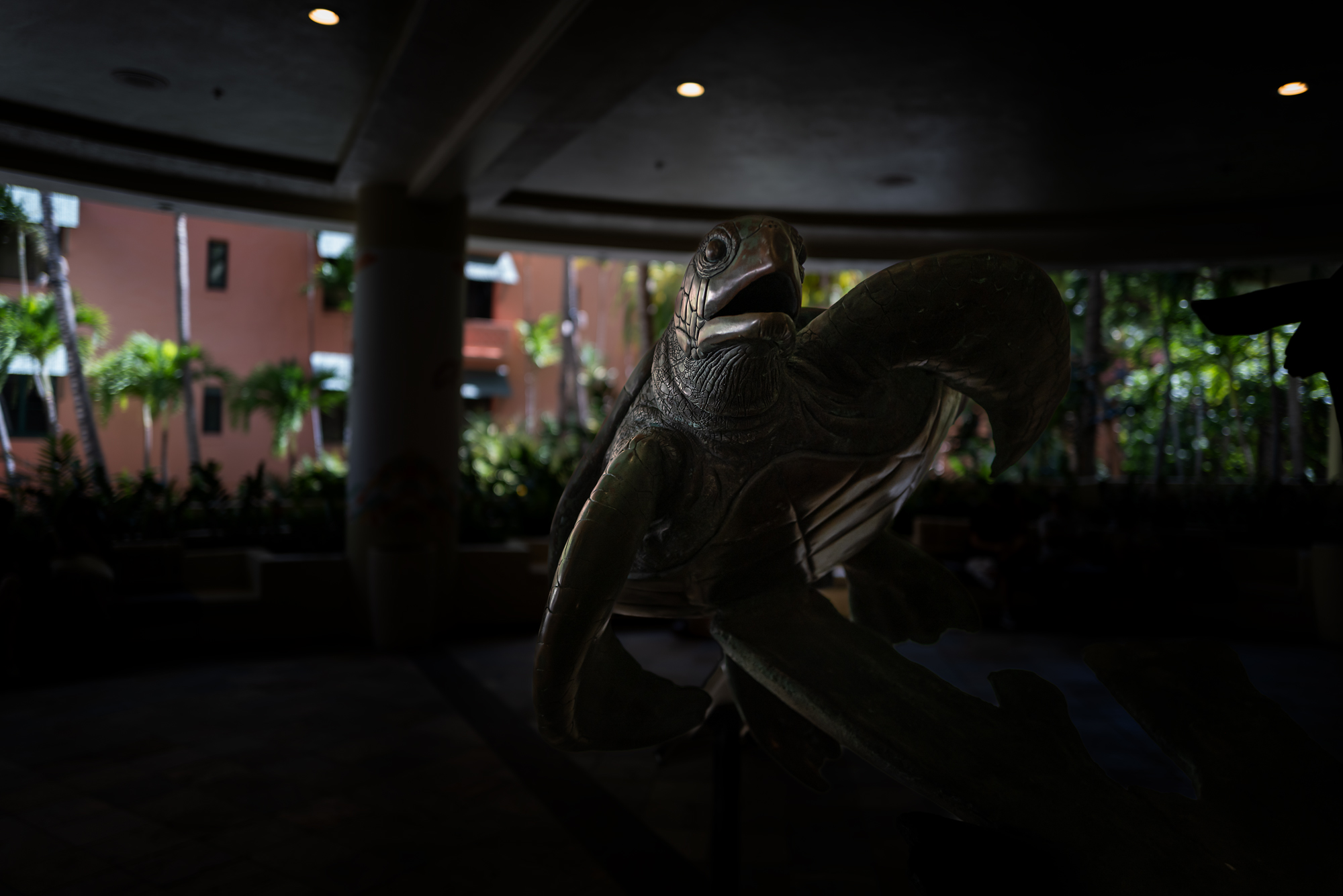 L1000496.jpg