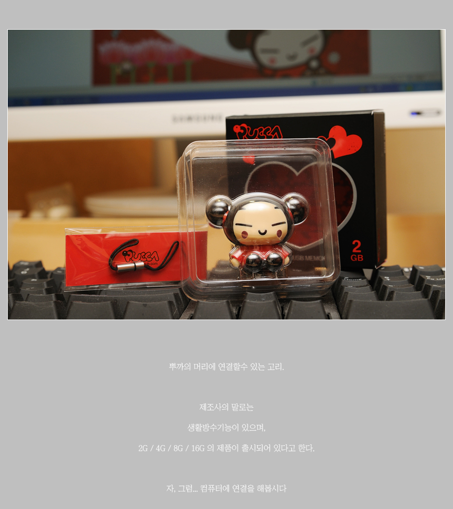 거룡반점의 외동딸 뿌까 ! USB 메모리로 찾아오다. / PUCCA USB Memory U100 - 팝코넷 | 유저 우수게시물 거룡반점의 외동딸 뿌까... 